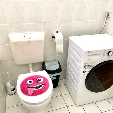 דירה 4-bett-monteurwohnung In מגדבורג